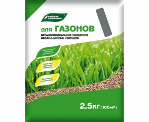 изображение_2023-11-15_175224581