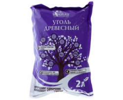 изображение_2024-02-02_170014891