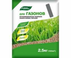 изображение_2023-11-15_175224581