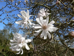 31ef0f31ce9dd5a3fbaeb94fc23a8145